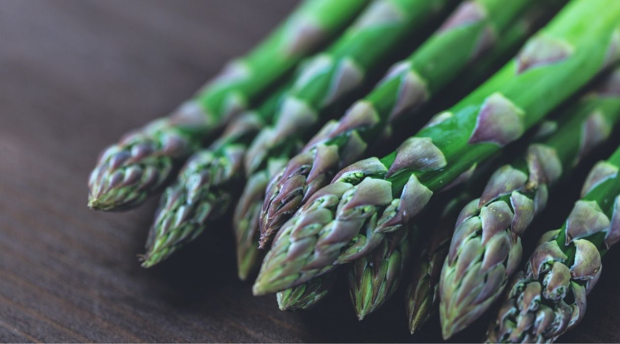 Asparagus spears in a bundle